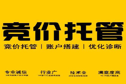 专业SEM托管助力企业快速成长案例分析